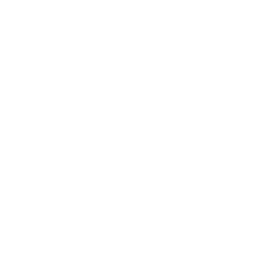 Success Manager